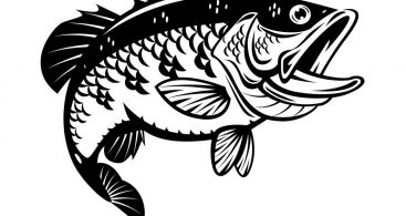 367x195 Funny Bass Fishing Vector Archives
