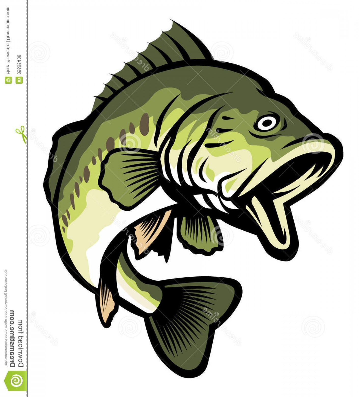 1410x1560 Royalty Free Stock Photos Largemouth Bass Vector Fish Suitable