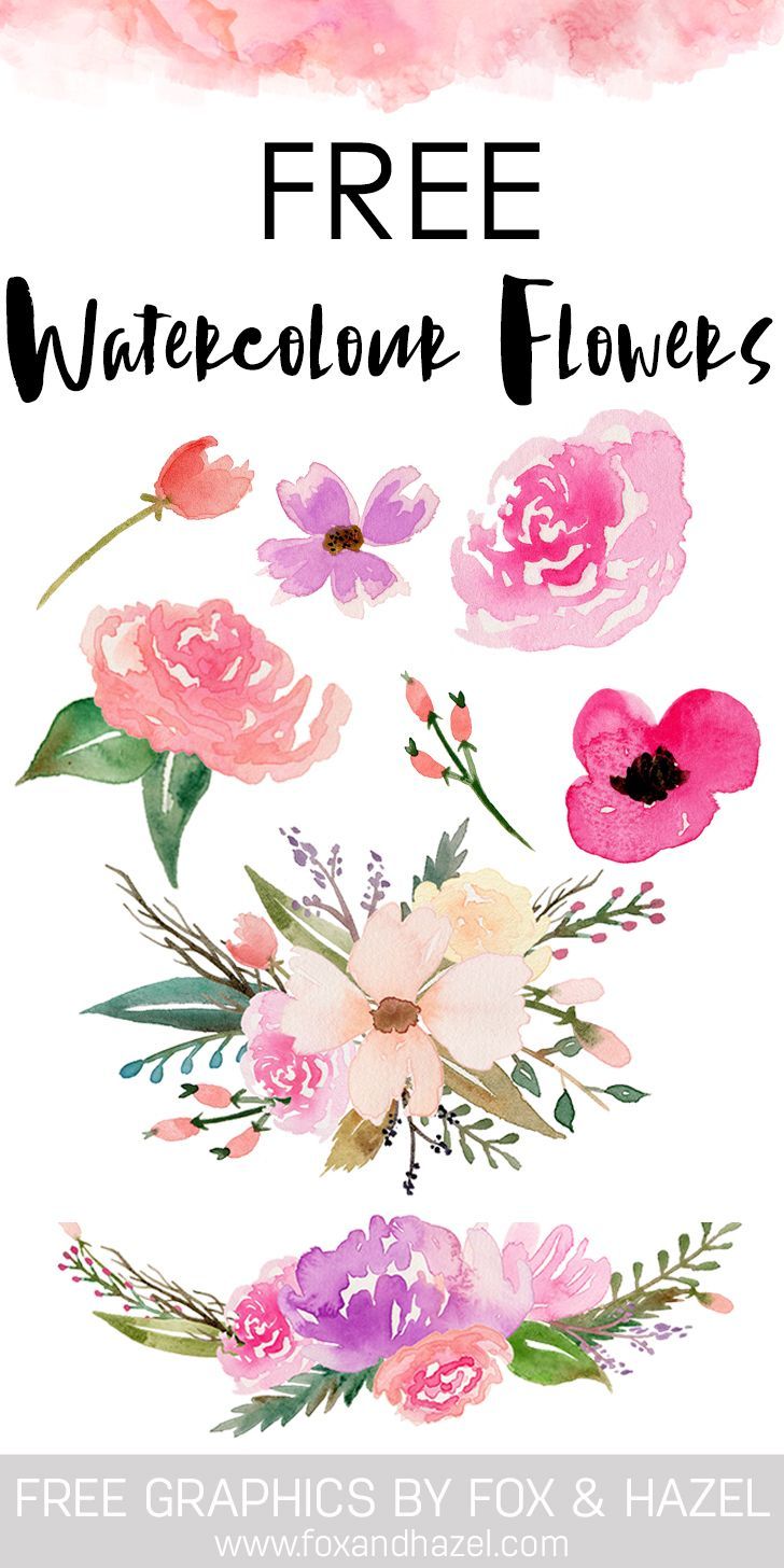 728x1456 Free Watercolor Flower Graphics From All Things Art + Hand