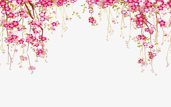 650x406 Flower Border, Flowers, Border Png Transparent Clipart Image