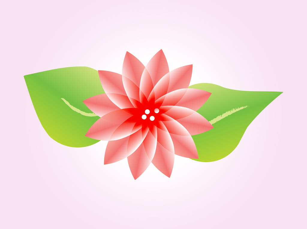 1024x765 Lotus Flower Vector Vector Art Graphics