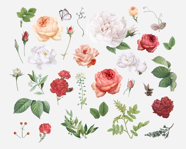 626x502 Flower Vectors, Photos And Free Download