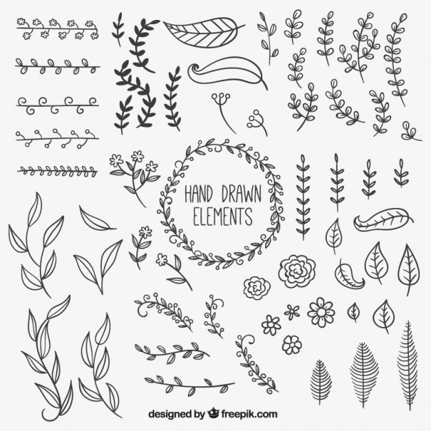 Hand Drawn Natural Decoration Elements Vector Free Download 626x626 Hand Drawn Natural Decoration Elements Vector Free Download