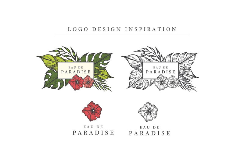 Free Hand Drawn Tropical Vector Graphics Elements Dribbble Graphics 800x532 Free Hand Drawn Tropical Vector Graphics Elements Dribbble Graphics