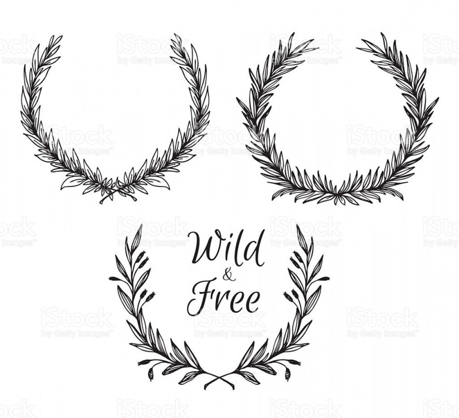 1473x1339 Hand Drawn Vector Illustration Vintage Decorative Laurel Wreath Gm
