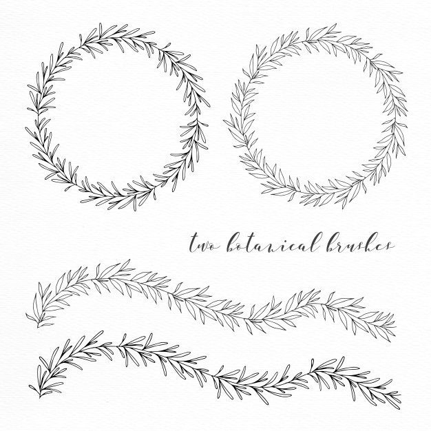 626x626 Seamless Hand Drawn Botanical Wreaths Vector Free Download