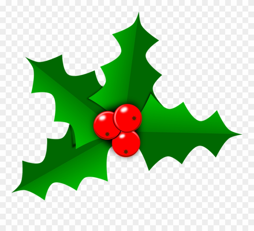 Holly Images Free Holly Christmas Leaf Free Vector 880x800 Holly Images Free Holly Christmas Leaf Free Vector