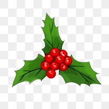 Holly Png, Vector, And Clipart With Transparent Background 360x360 Holly Png, Vector, And Clipart With Transparent Background