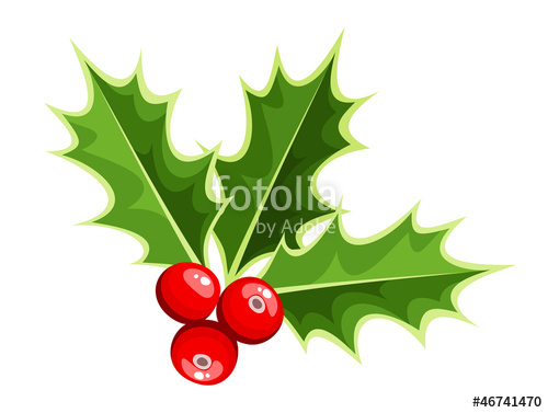 Christmas Holly Vector Illustration Stock Image And Royalty 500x377 Christmas Holly Vector Illustration Stock Image And Royalty