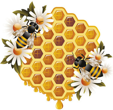 377x368 Honey Vector Free Free Vector Download