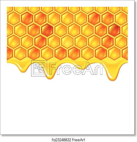 561x581 Free Art Print Of Honeycombs With Honey Vector Background