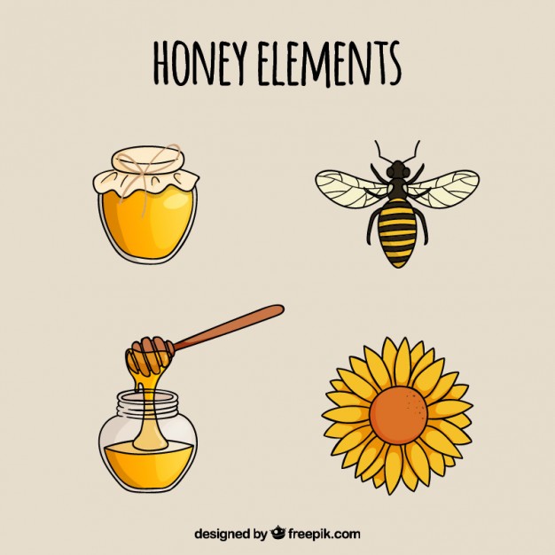 626x626 Hand Drawn Honey Elements Vector Free Download