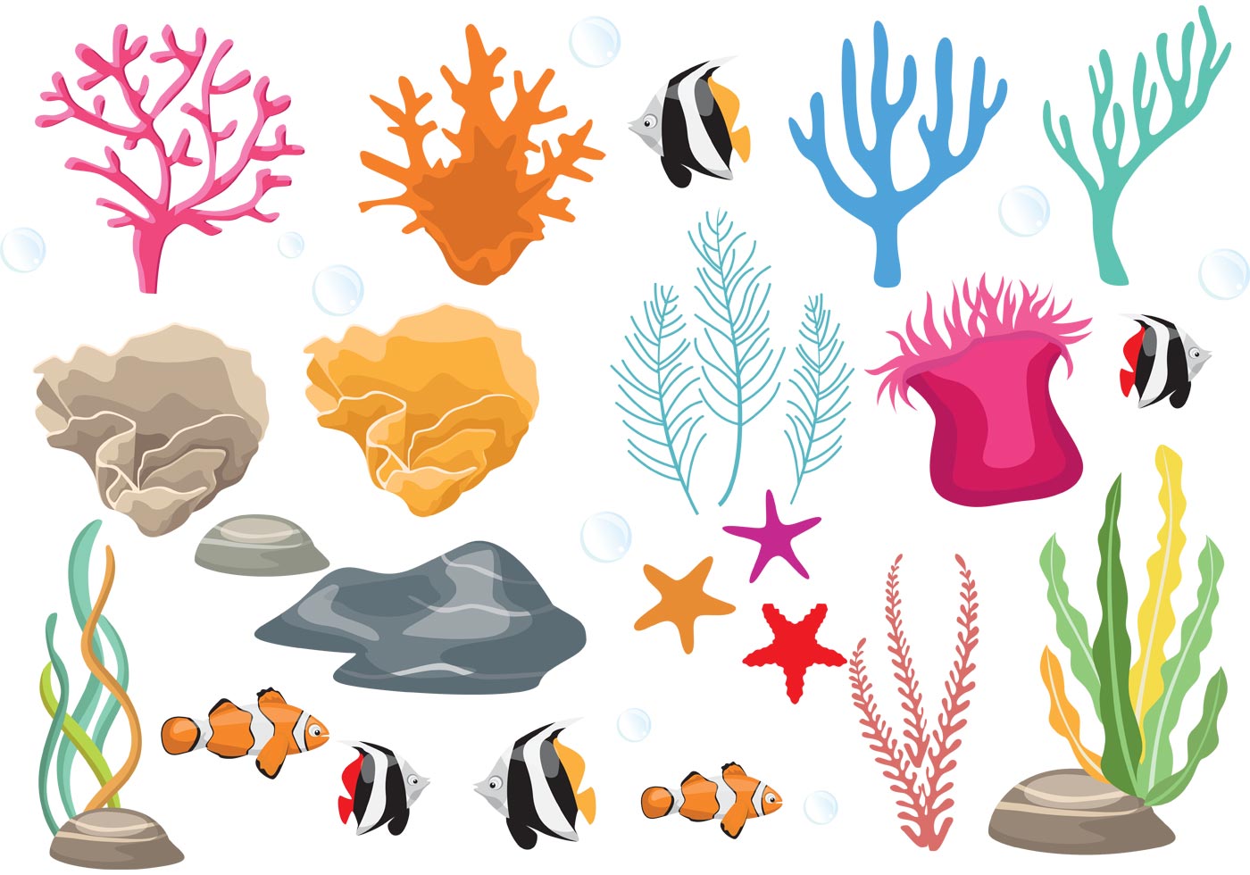 1400x980 Coral Free Vector Art
