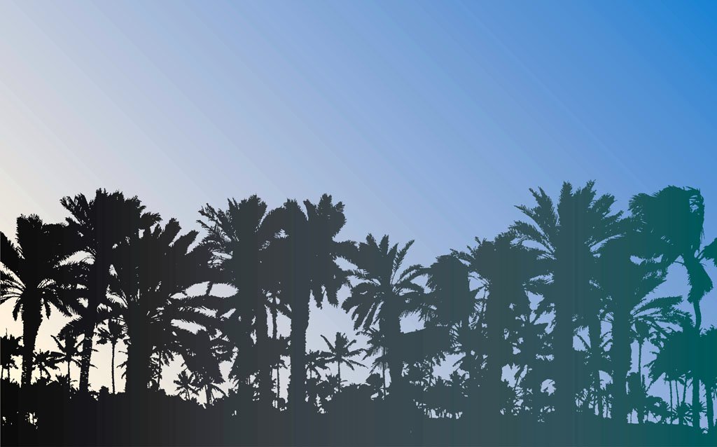 1024x638 Free Palm Trees Vector Vector Art Graphics