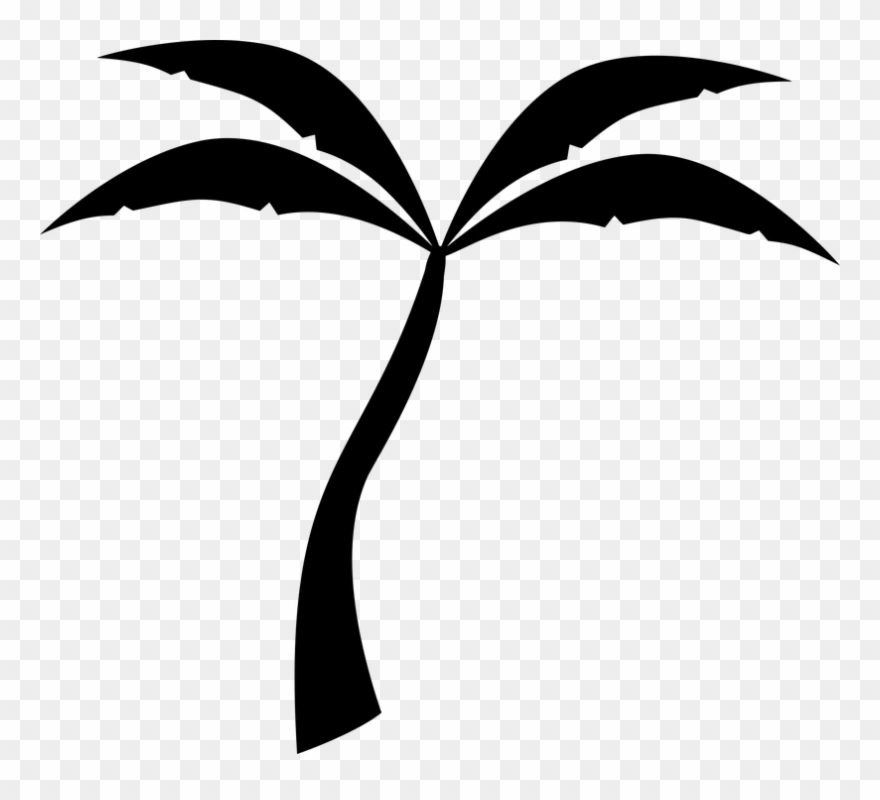 880x800 Palm Tree Vector Art Free Buy Clip Art