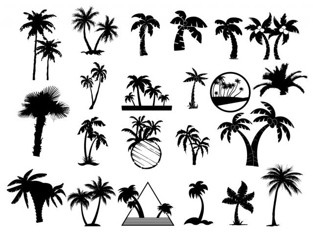 640x480 Palm Tree Vector Art Free