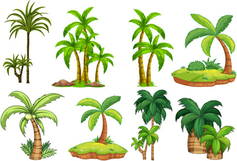 488x332 Palm Tree Free Vector Download