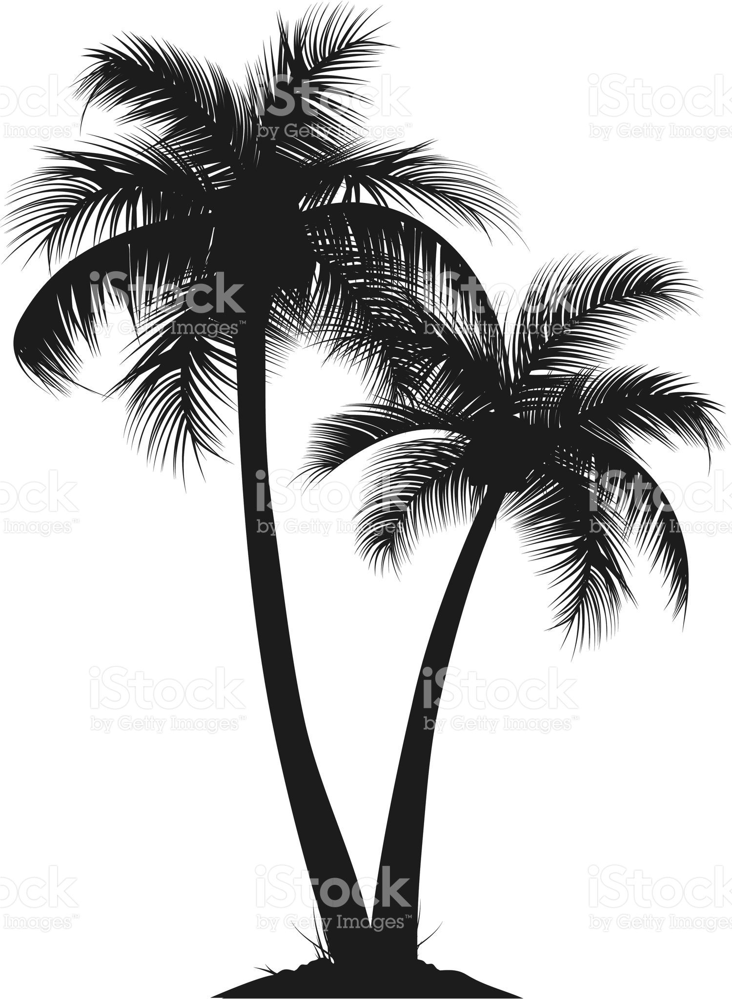 1500x2048 Two Vector Silhouette Of Palm Trees Smart Layers And Elements