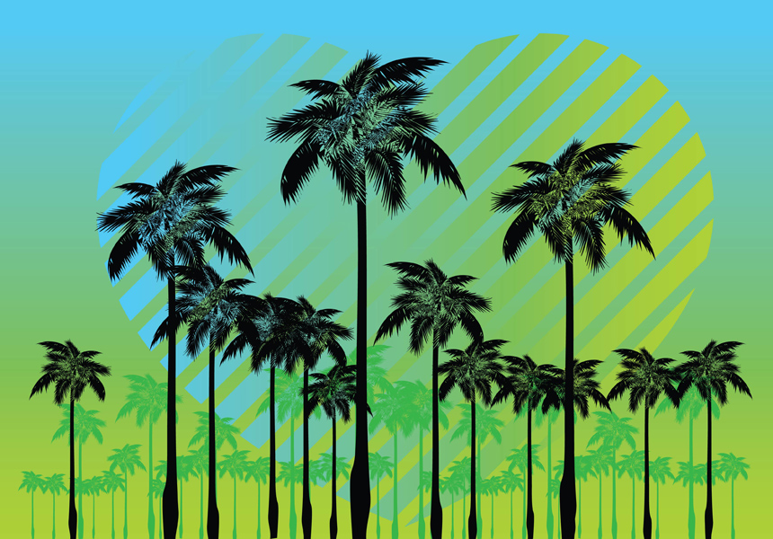 860x600 Free Palm Tree Vectors Free Vectors Ui Download