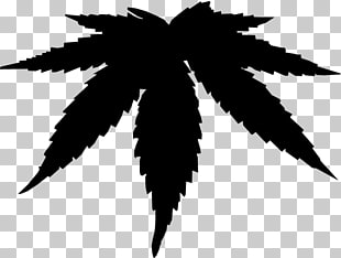 Cannabis Leaf Vector Png Cliparts For Free Download Uihere 310x234 Cannabis Leaf Vector Png Cliparts For Free Download Uihere