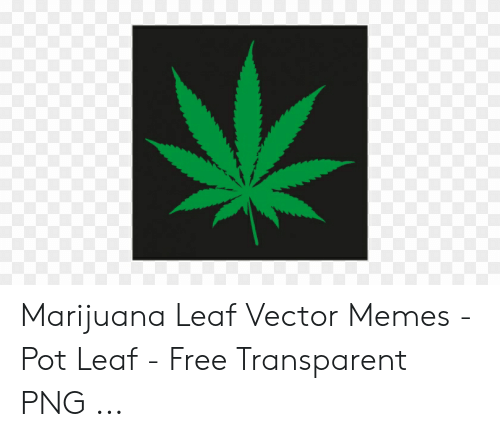 Marijuana Leaf Vector Memes 500x437 Marijuana Leaf Vector Memes