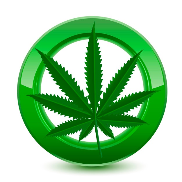 Marijuana Leaf Vector Free Download 626x626 Marijuana Leaf Vector Free Download