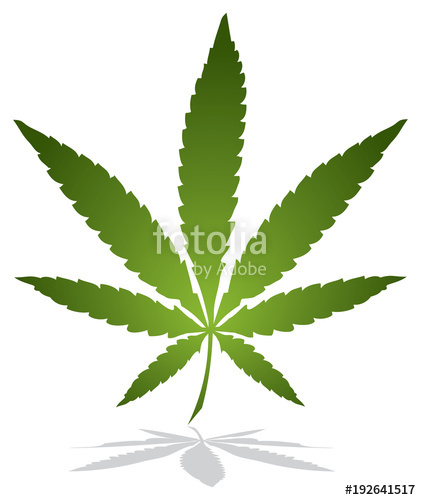 Marijuana Leaf Vector Stock Image And Royalty Free Vector 421x500 Marijuana Leaf Vector Stock Image And Royalty Free Vector