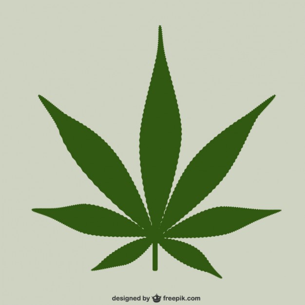 Marijuana Leaf Vector Vector Free Download 626x626 Marijuana Leaf Vector Vector Free Download