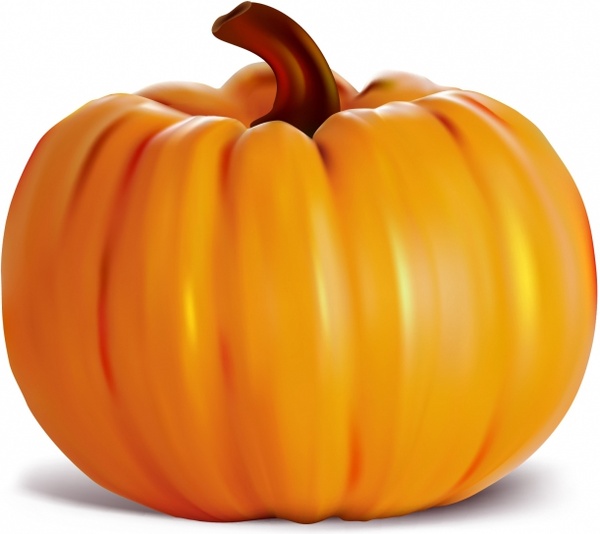 600x534 Pumpkin Free Vector In Adobe Illustrator