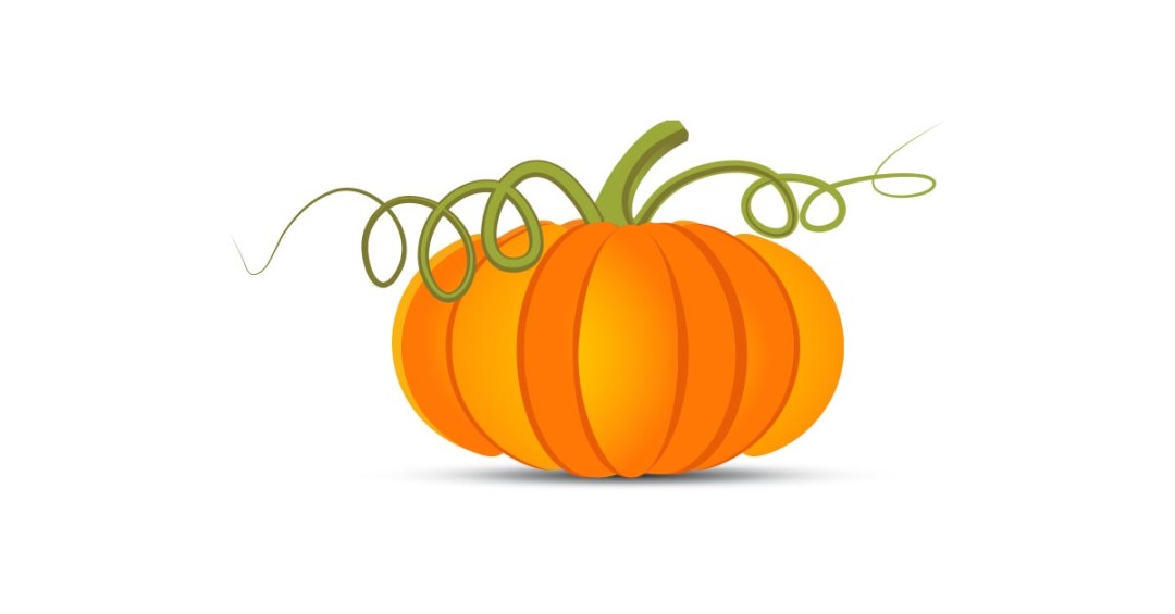 1080x565 Pumpkin Vector Illustration Free Download The Graphic Cave