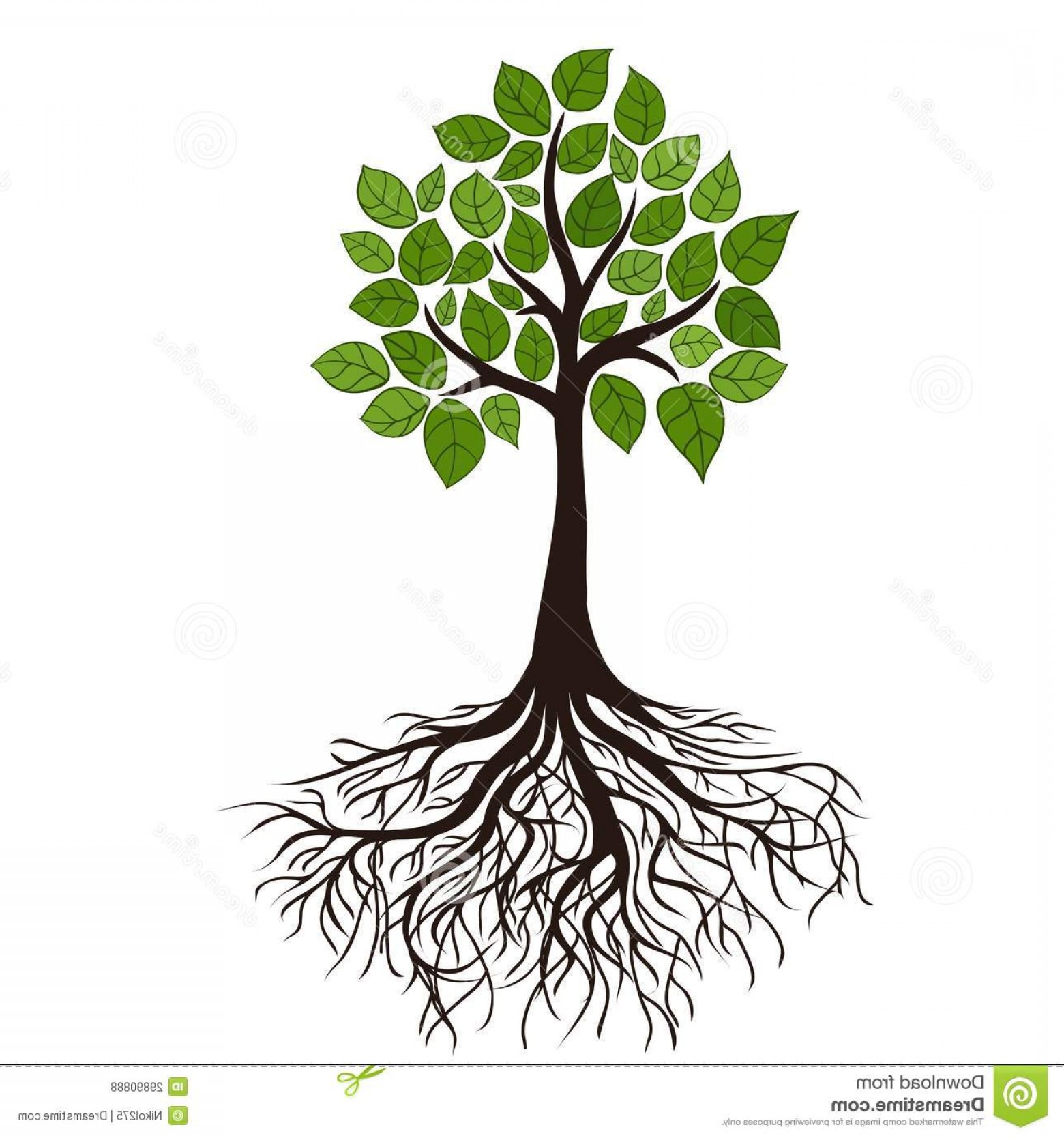 Free Vector Image Of Tree With Roots Soidergi 1560x1668 Free Vector Image Of Tree With Roots Soidergi