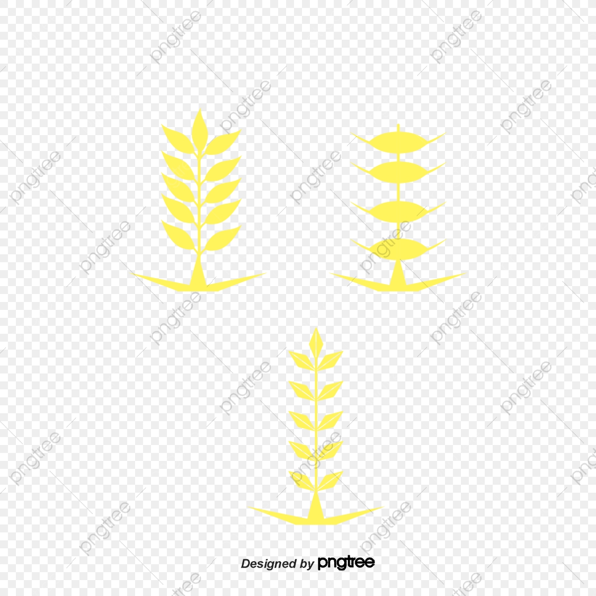 Vector Simple Flat Golden Wheat Pattern, Wheat Vector, Pattern 1200x1200 Vector Simple Flat Golden Wheat Pattern, Wheat Vector, Pattern