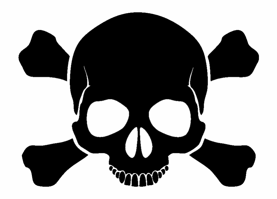 Skulls Png Image Purepng Free Transparent Cc 920x663 Skulls Png Image Purepng Free Transparent Cc