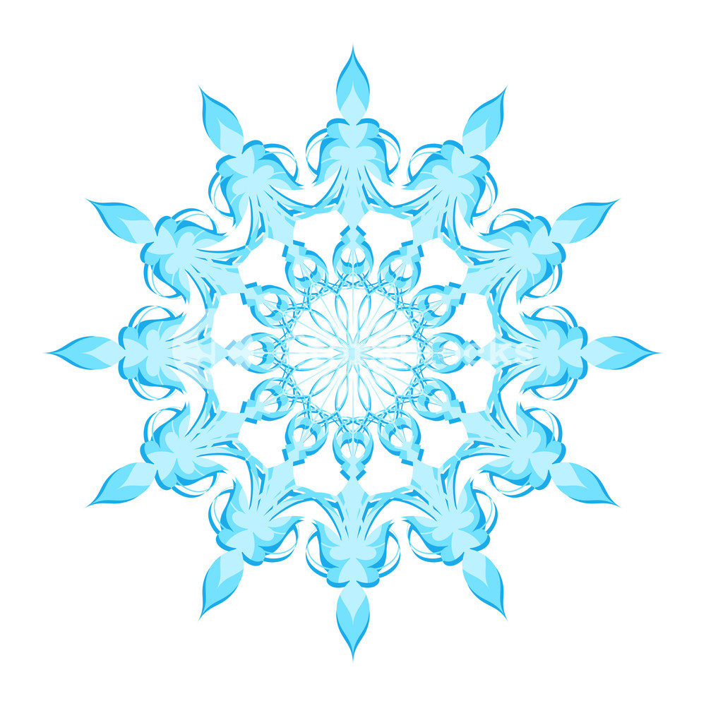 Snowflake Vector Art Royalty Free Stock Image 1000x1000 Snowflake Vector Art Royalty Free Stock Image