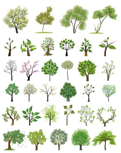 500x631 Vector Tree Tree Illustrations Vector Free Stock Vector Art