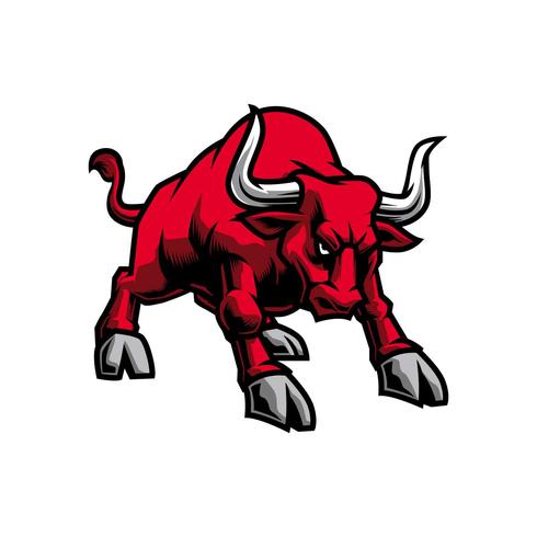 490x490 Bull Illustration Vector