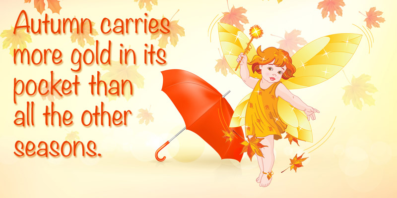 800x400 Clipart, Vector Graphics And Illustrations