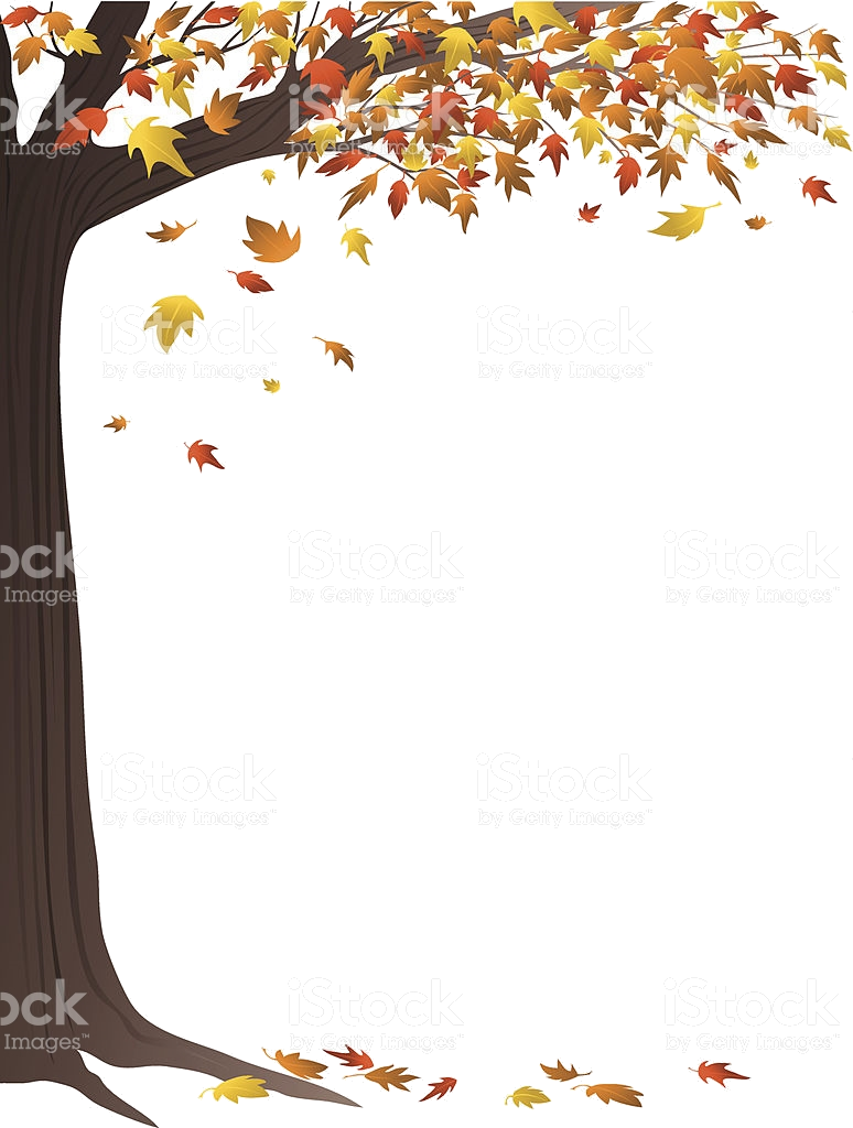 774x1024 Fall Border Autumn Tree Royalty Free Stock Vector Art More Images