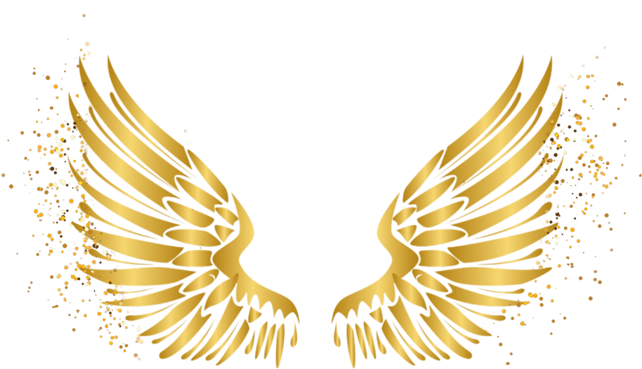 Angel Wings Vector Png