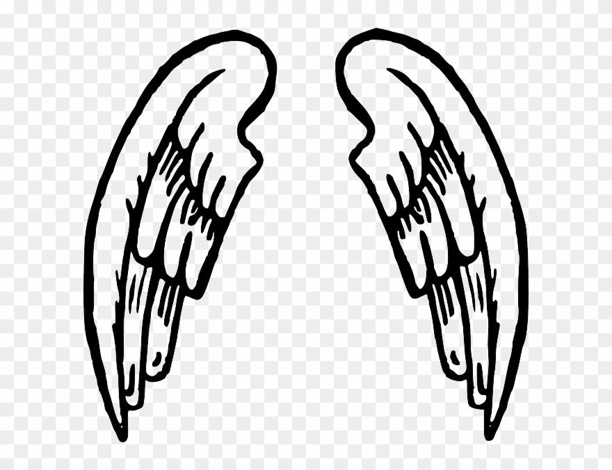 Wings Fairy Tale Angel Free Vector 880x677 Wings Fairy Tale Angel Free Vector