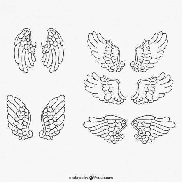 Angel Wings Hand Drawn Free Vector Free Vectors Angel Wings 626x626 Angel Wings Hand Drawn Free Vector Free Vectors Angel Wings