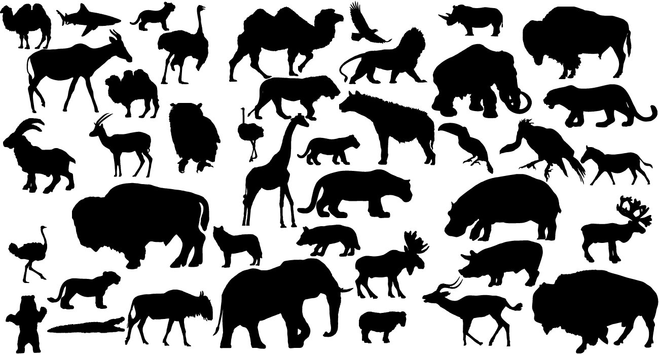 1300x700 Vector Animal Free Images