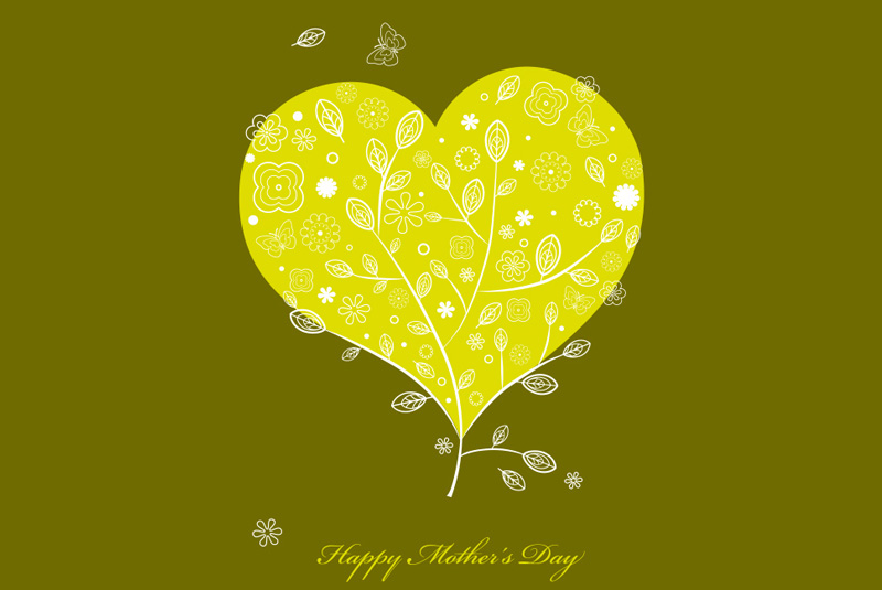 800x535 Free Vector Archive