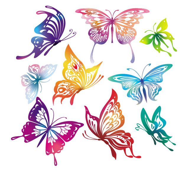 650x586 Butterfly Vector