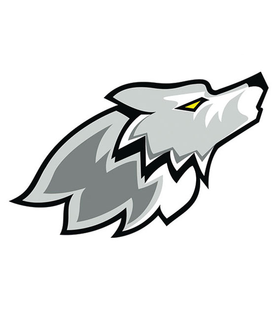 560x625 Free Vector Designs Free High Quality Vector Designs