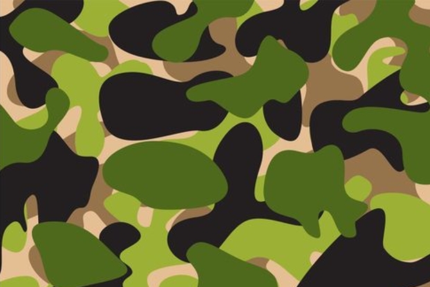 Free Vector Camo Pattern