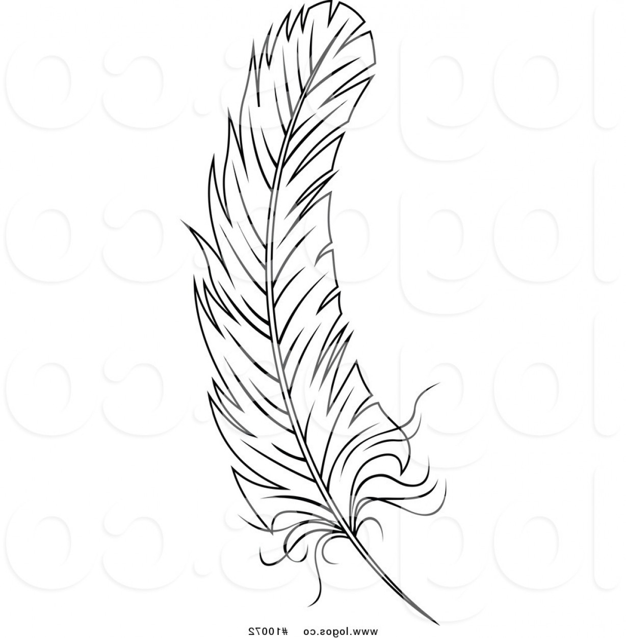 1228x1252 Royalty Free Vector Of A Black And White Feather Logo