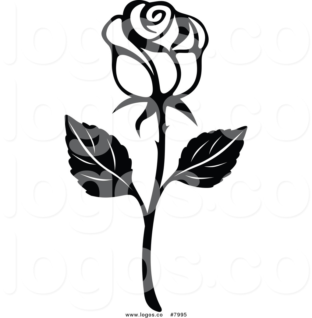 1024x1044 Knumathise Rose Clipart Black And White Images