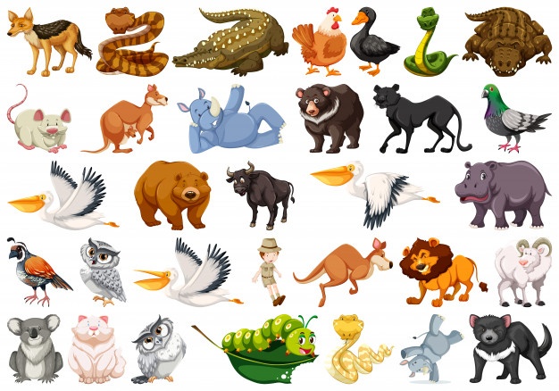 626x438 Animals Vectors, Free In Format