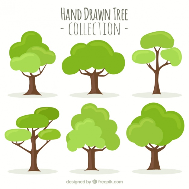 626x626 Tree Vectors, Photos And Free Download